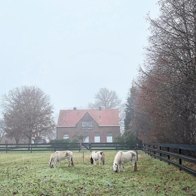 גרונלו Hoeve De Snippert מראה חיצוני תמונה